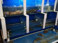水产区-上亿烧烤海鲜大咖(承德路店)