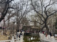 -桃花堤公园