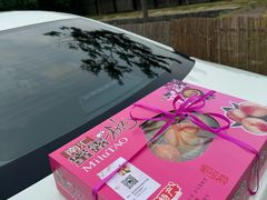 -南汇新场正宗水蜜桃采摘