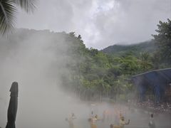 -西双版纳原始森林公园