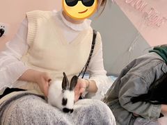 -浣熊柯尔鸭土拨鼠·电玩咖