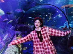 -沈阳海洋探索中心