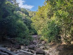 -广州白江湖森林公园