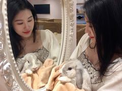 -猫猫幼稚园·撸猫·桌游·电玩