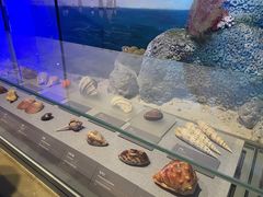 -中国（海南）南海博物馆