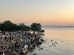 -宝安西湾红树林湿地公园