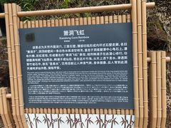-沐川竹海旅游景区