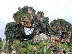 -奥兰多迪士尼动物王国乐园