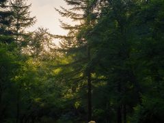 -芦芽山旅游度假区
