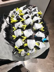 -汤尼英盖TONI&GUY-essensuals