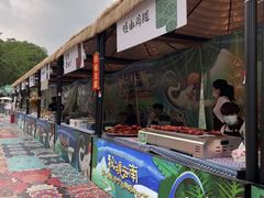 -东南花都花博园