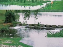 -洋湖国家湿地公园