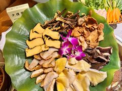 -大理董·董家小厨野生菌火锅(古城旗舰店)