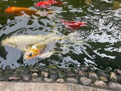 -成飞公园