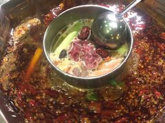 -蜀九香火锅(九眼桥店)