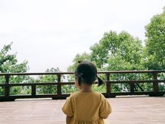 -杭州半山国家森林公园