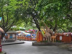 -晓港公园