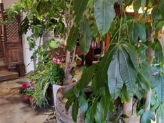-慢丽江·云南野生菌土鸡锅(付家庄店)