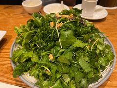 -琼菜王(南海店)