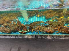 -渔家大院·胶东海鲜·老鲁菜餐厅(德胜店)