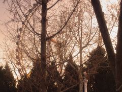-北京石景山游乐园
