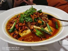 -新吉士·上海菜(浦东LCM置汇旭辉店)