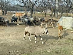 -西安秦岭野生动物园