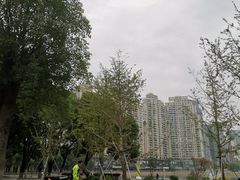 -西北湖绿化广场