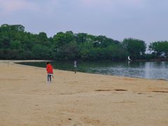 -瑶湖郊野森林公园