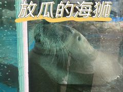 -海合安成都极地海洋公园