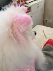 -小红楼美甲美容中心