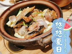 啫啫鱼头-香港百合居(LCM置汇旭辉广场店)