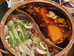 菌菇鸳鸯锅-镇江龙·火锅串串(武侯祠店)