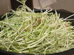 -广信传说