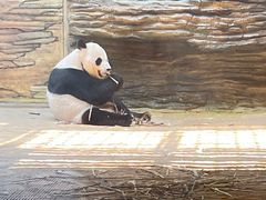 -西霞口神雕山野生动物世界