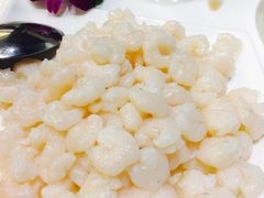 清炒野生河虾仁-申宴酒楼(王子百货店)