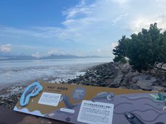 -深圳湾公园(南山区)