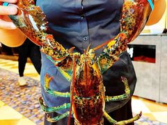 -四海蒸鲜蒸汽海鲜自助(北戴河店)