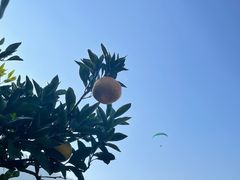 -海宁大尖山滑翔伞运动基地