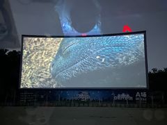 -枫花园汽车电影院(朝阳公园店)