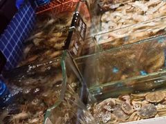 -加餐海鲜自助(宝龙一城店)