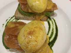 -Elephant Grounds(STARSTREET)