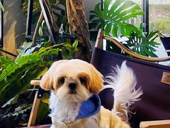 -J Create城市露营咖啡·简餐·宠物(上海动物园店)