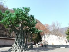 -汉中石门栈道景区