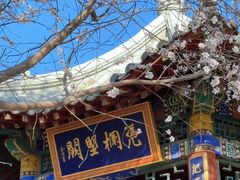 -桃花堤公园