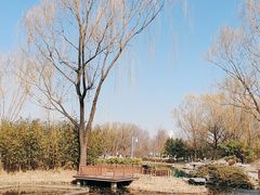 -海淀公园