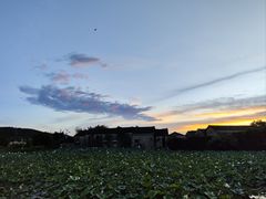 -苏家围·东江画廊旅游景区