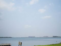 -瑶湖郊野森林公园