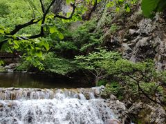 -牛背梁国家森林公园