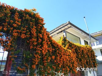 午后小清新， 来一波美美哒福利    秋风它惹人醉